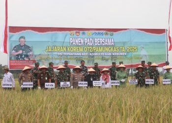 Ketahanan Pangan: Pangdam IV dan Danrem 072 Gelar Panen Raya di Kebumen