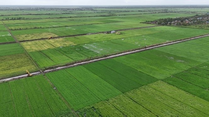 Dukungan Masyarakat Terhadap Program Cetak Sawah yang Dilaksanakan oleh Pemerintah
