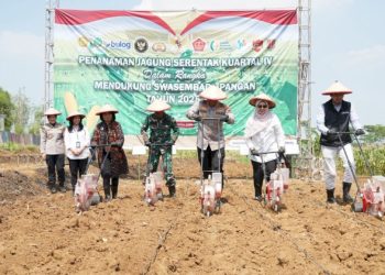 Polrestabes Semarang Tanam Jagung Serentak Kuartal IV dan Resmikan Gudang Slog Polri