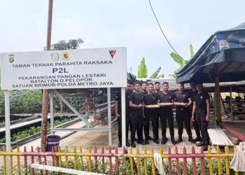 Budidaya Ayam Petelur Brimob Polda Metro Jaya di Lahan P2L Dukung Ketahanan Pangan Nasional