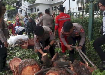 Evakuasi Pohon Tumbang Dekat Stasiun MRT Jakarta oleh Ditpamobvit Polda Metro Jaya