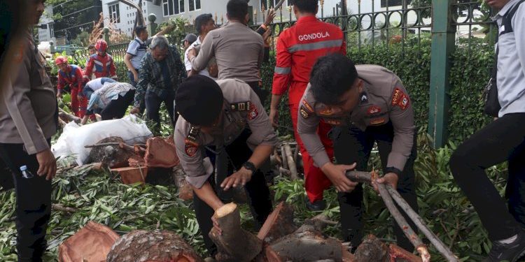 Evakuasi Pohon Tumbang Dekat Stasiun MRT Jakarta oleh Ditpamobvit Polda Metro Jaya