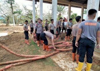 Brimob Polda Sumut Bersihkan Aula SMP Santo Fransiskus Pandan Pascabencana Lumpur