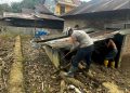 Tim SAR Brimob Polda Sumbar Cari Korban dan Salurkan Bantuan Banjir di Palembayan
