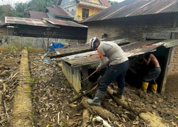 Tim SAR Brimob Polda Sumbar Cari Korban dan Salurkan Bantuan Banjir di Palembayan
