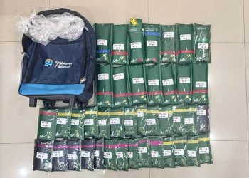 Polda Metro Ungkap Modus Kirim Ganja Melalui Paket Online Sita 2,3 Kg Barang Bukti