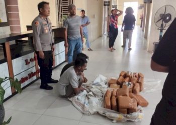 Polres Aceh Tenggara Gagalkan Peredaran 50,7 Kg Ganja di Tengah Pemulihan Pasca Banjir