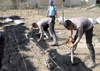 Taruna Akpol Tingkatkan Ketahanan Pangan dan UMKM Melalui Pekarangan Pangan Lestari di Aceh Tamiang