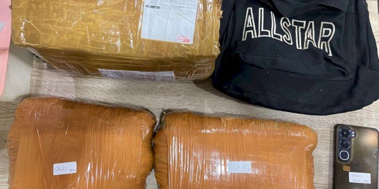 Polda Metro Jaya Gagalkan Peredaran 2Kg Ganja di Depok, Satu Tersangka Ditangkap